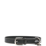 Collare per cani Toutou con logo A.P.C. - cani 