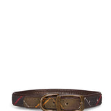 Collarino per cani multicolor 