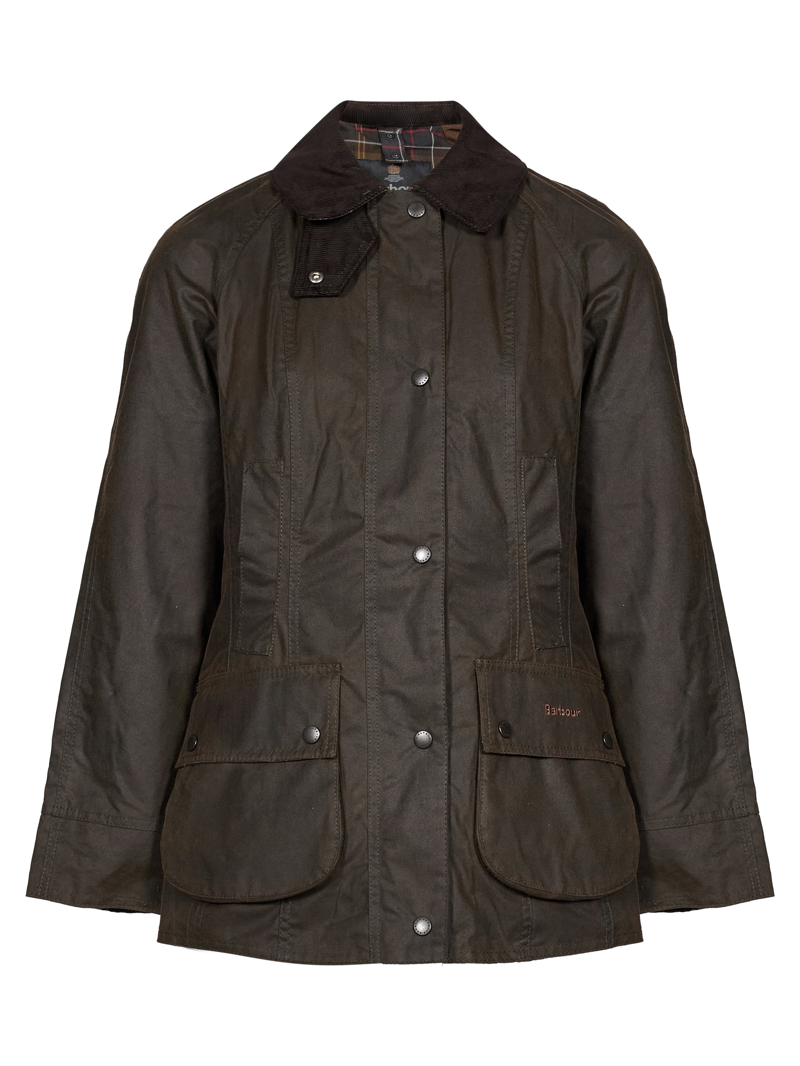 Giacca Beadnell in verde 
