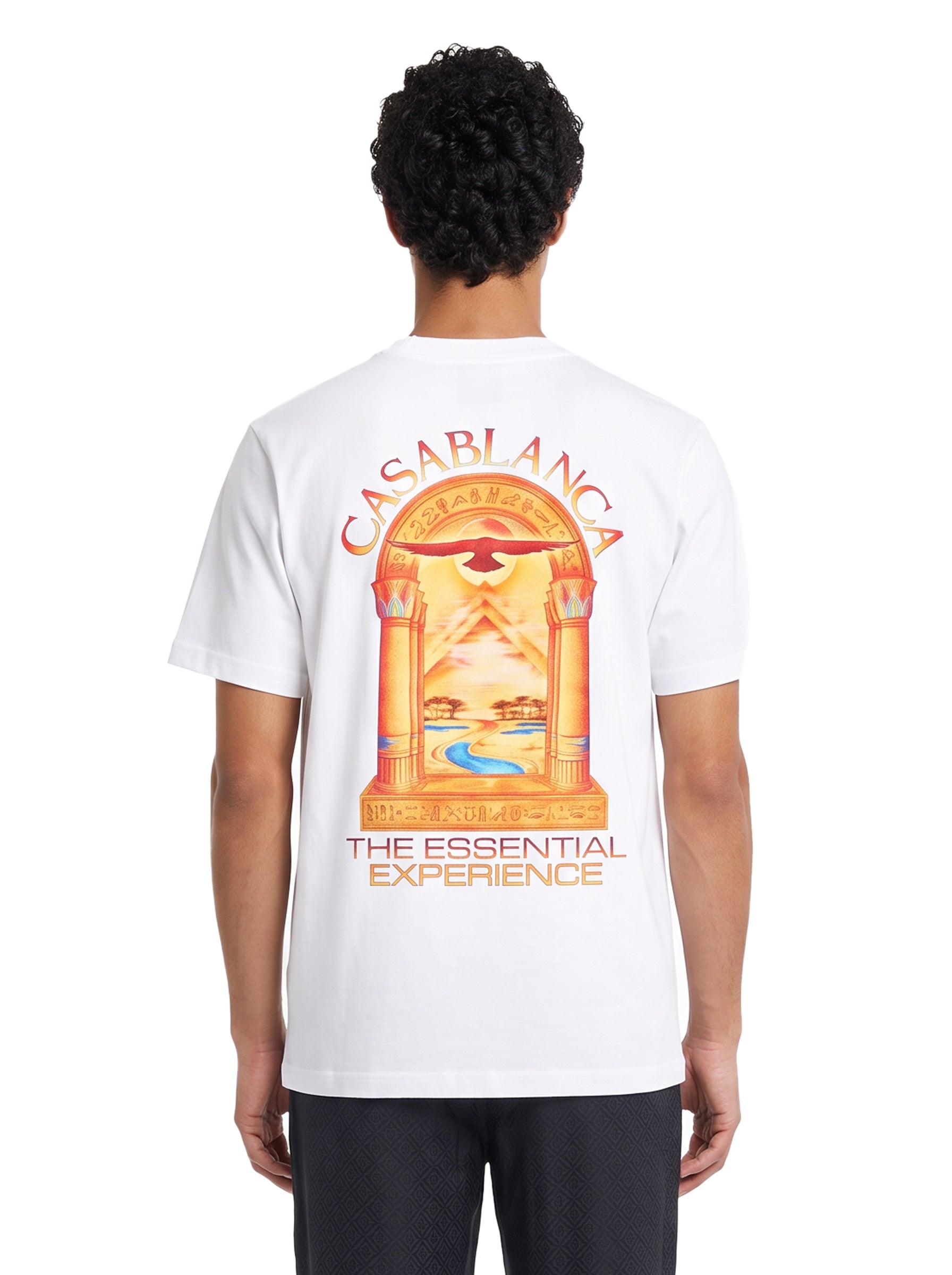 T-shirt stampa Hermons Mirage Arch in bianco 