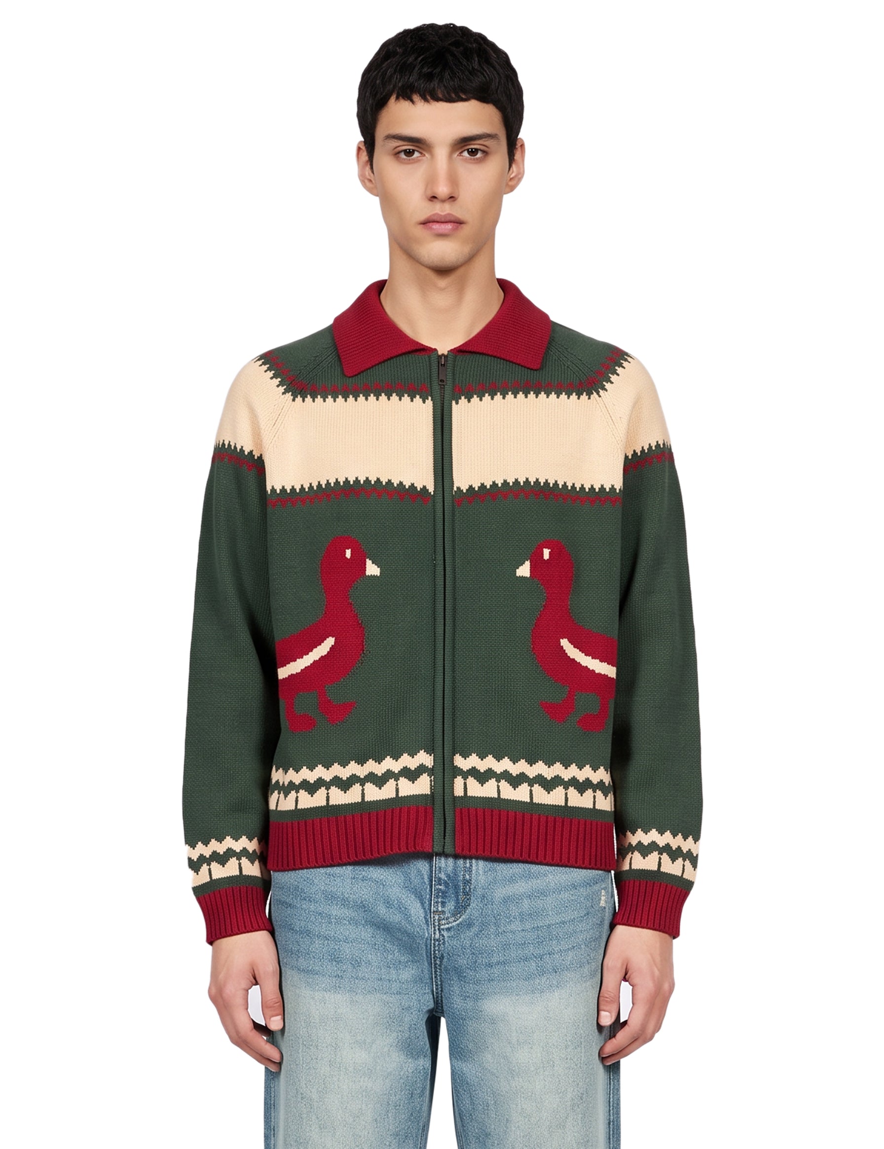 Cardigan Isles multicolor 