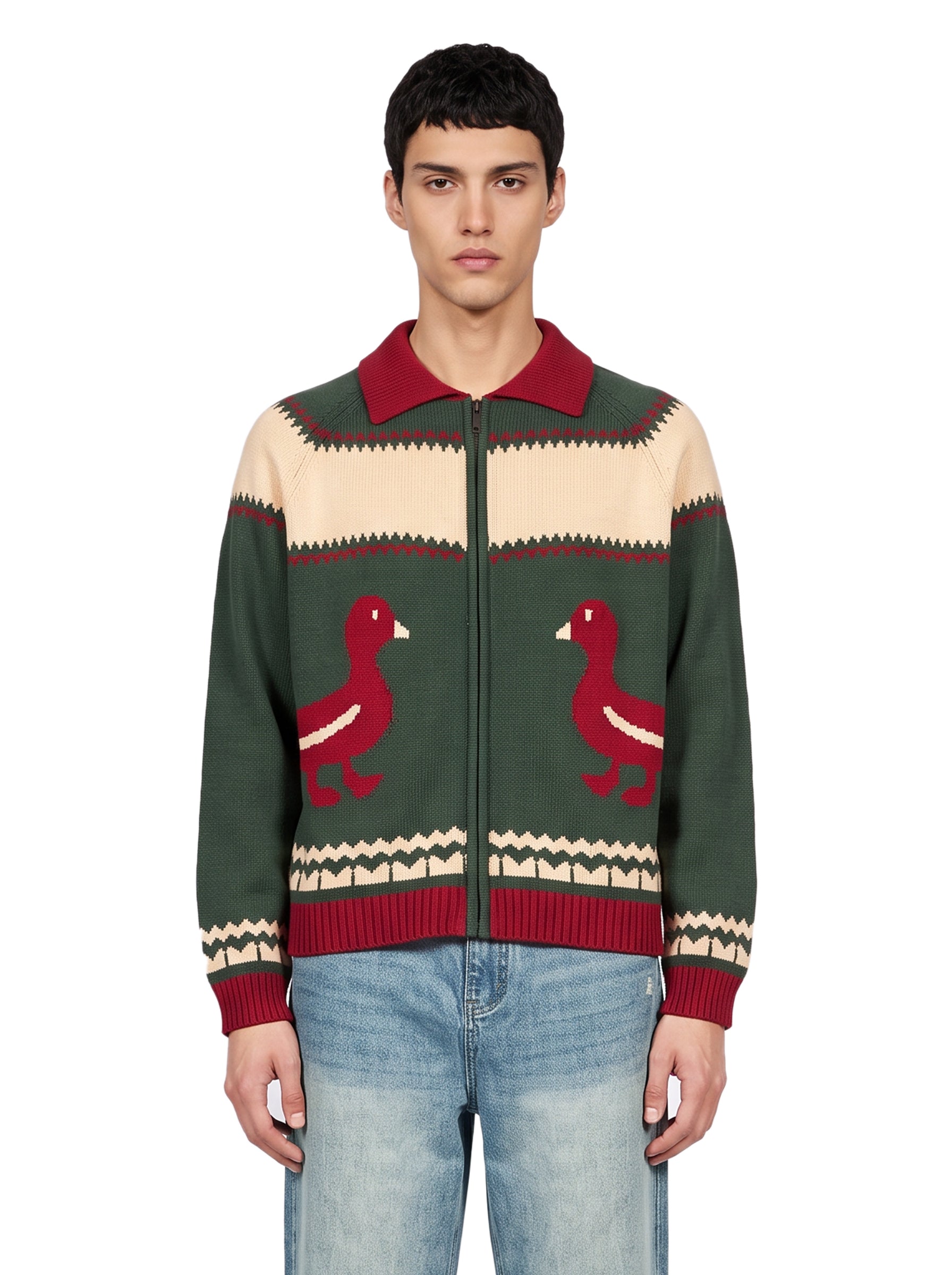 Cardigan Isles multicolor 