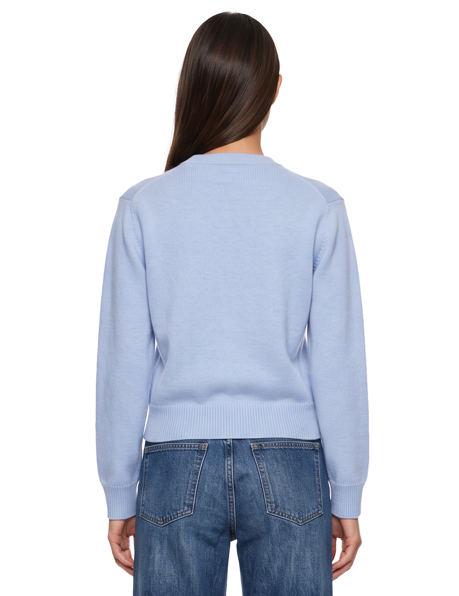 Maglione girocollo Rose in azzurro 