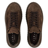 Sneakers Hi Striped in marrone <BR/> 