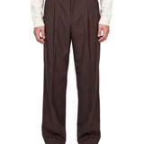 Pantaloni con pinces in marrone 