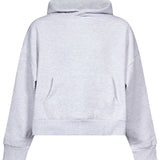 Felpa con cappuccio Heavy Hood in grigio ghiaccio 