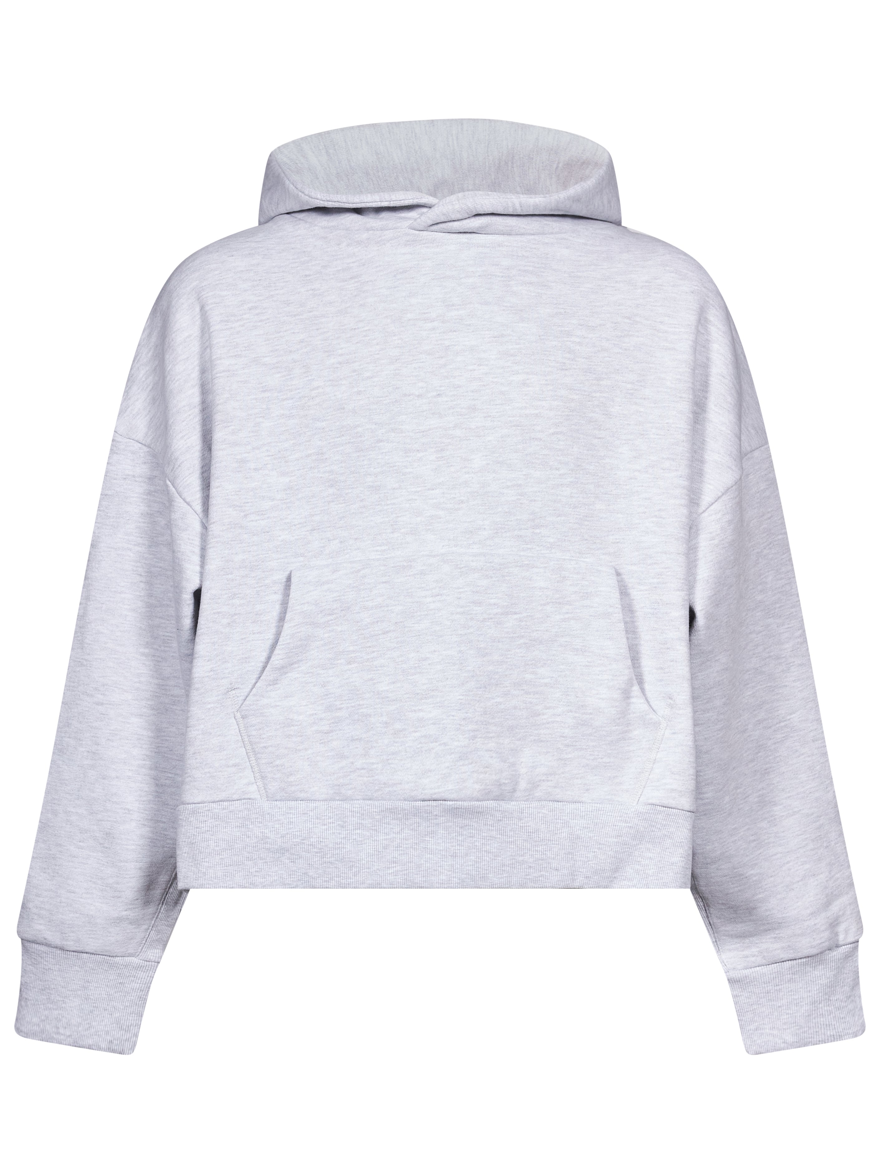 Felpa con cappuccio Heavy Hood in grigio ghiaccio 