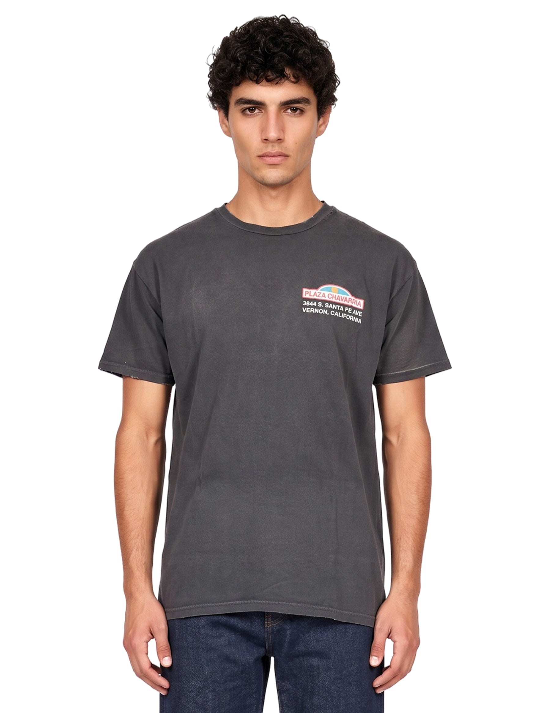 T-shirt Plaza in grigio 