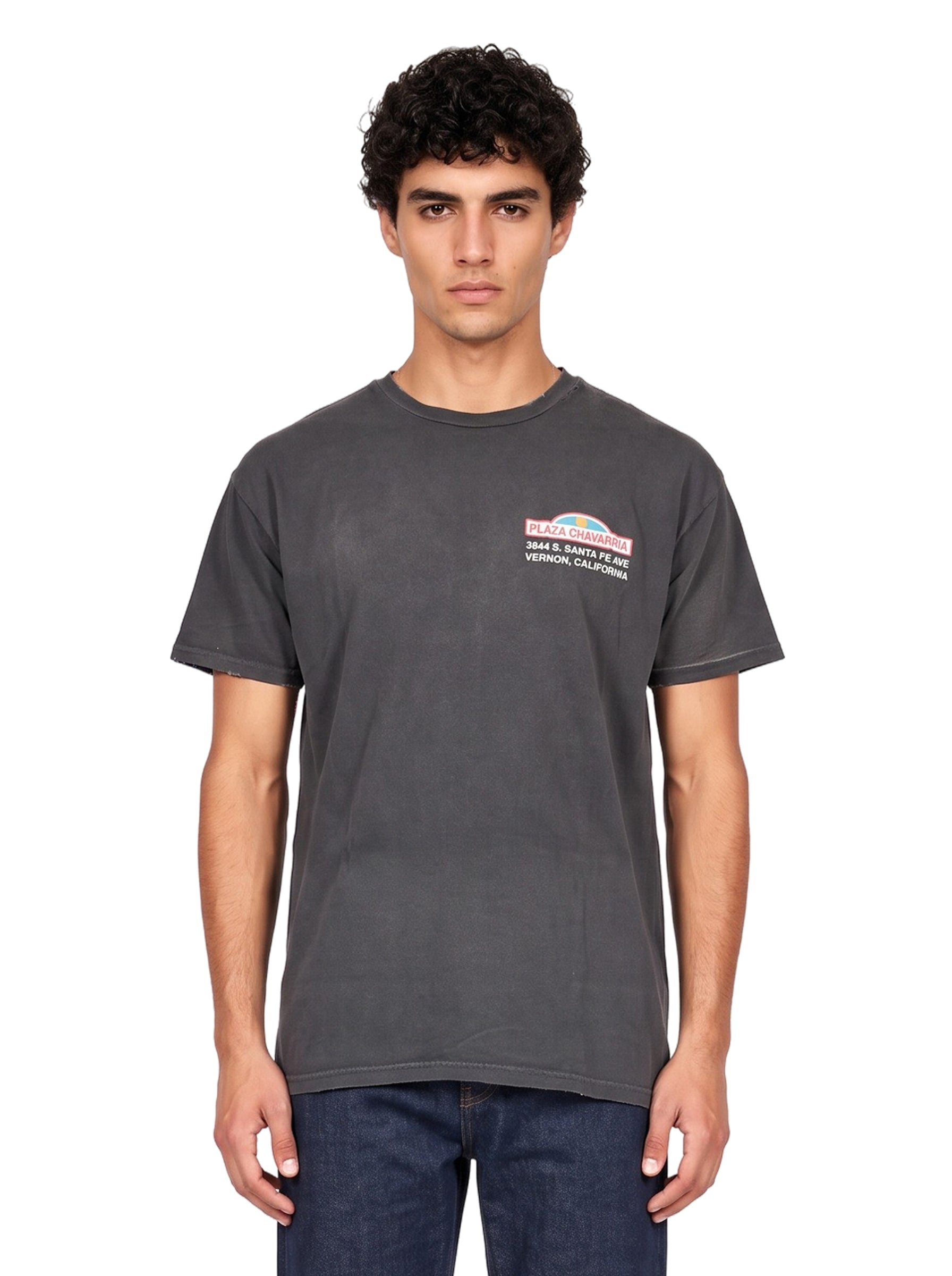 T-shirt Plaza in grigio 