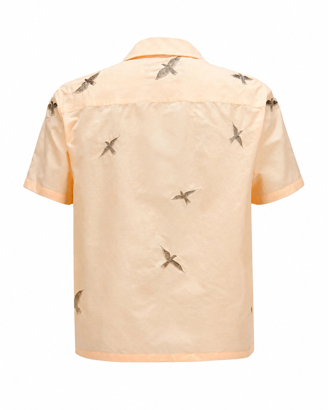 Camicia stampa COLOMBE a mezza manica IN ROSA baziszt - uomo 