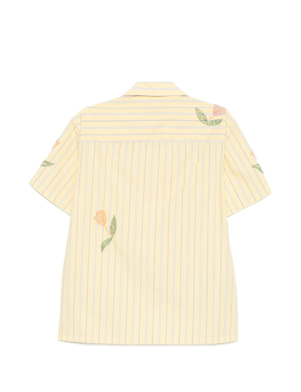 Camicia Tulip in giallo chiaro Baziszt - uomo 