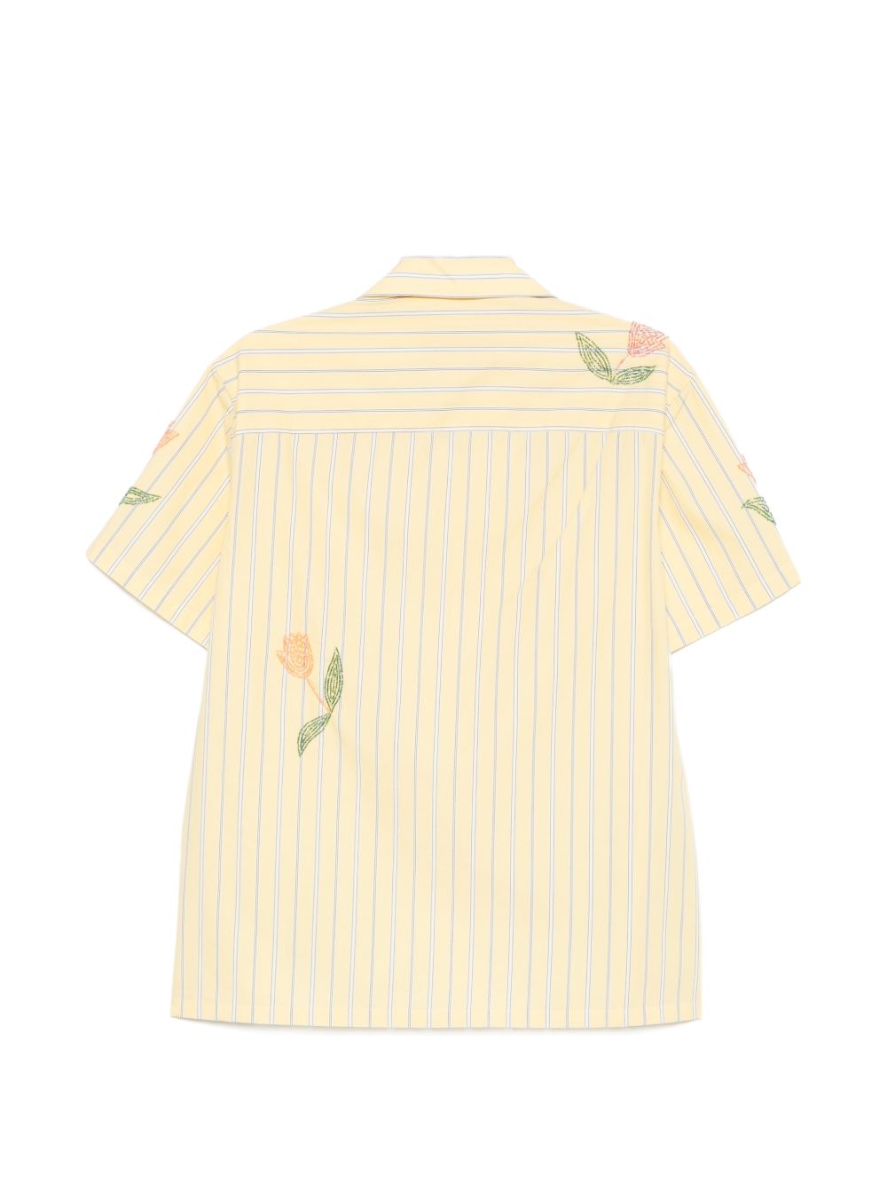 Camicia Tulip in giallo chiaro Baziszt - uomo 
