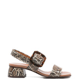 Sandali con stampa serpente e fibbia in marrone Chie mihara - donna 