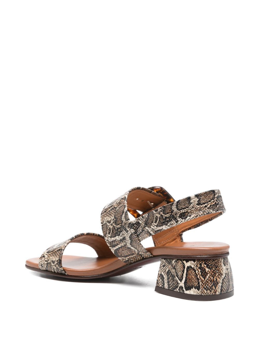 Sandali con stampa serpente e fibbia in marrone Chie mihara - donna 