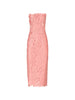 Costarellos Women's Astelle Pink Midi Dress