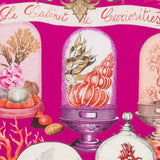 Sciarpa con stampa grafica in rosa Maxmara - donna 