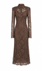 Lace dress with collar in brown Rowen Rose - women