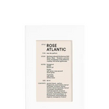 Profumo rose atlantic 50 ml 