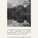 Profumo amazonas edp 100ml 