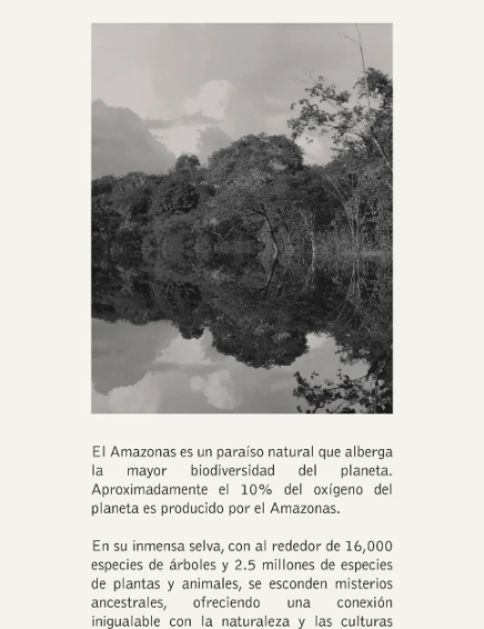 Profumo amazonas edp 100ml 