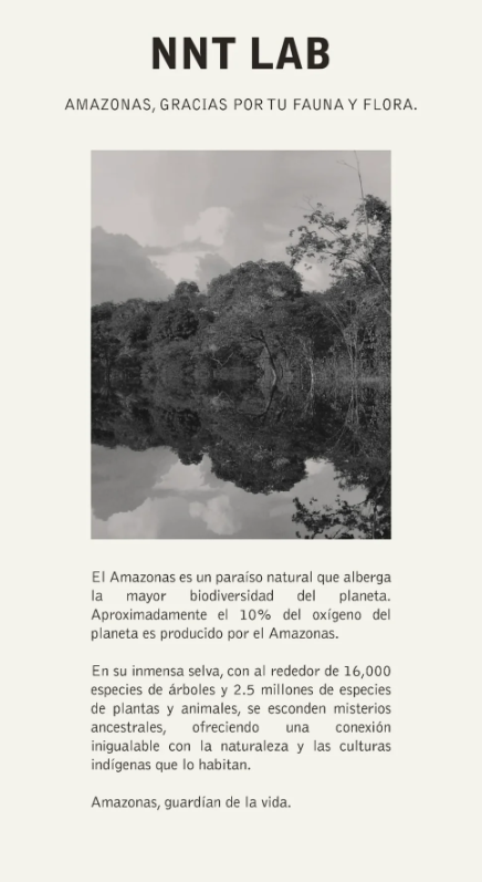 Profumo amazonas edp 100ml 