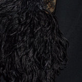 Giacca con piume in nero The attico - donna 