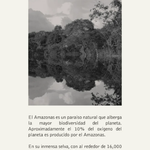 Profumo amazonas edp 100ml 