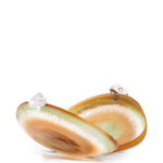 Borsa clutch rigida ariel in marrone Benedetta bruzziches - donna 