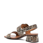 Sandali con stampa serpente e fibbia in marrone Chie mihara - donna 