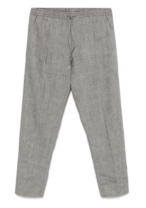 Grigio